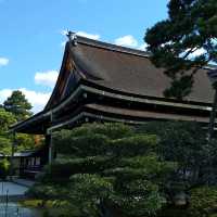京都御所の御池の鯉