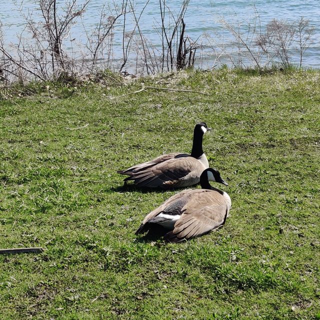 Belle Isle Park