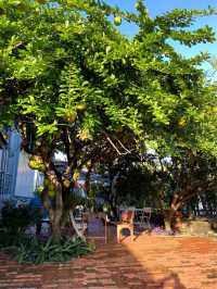 คาเฟ่และที่พักริมน้ำใกล้กรุงเทพ Riverbreeze Cafe