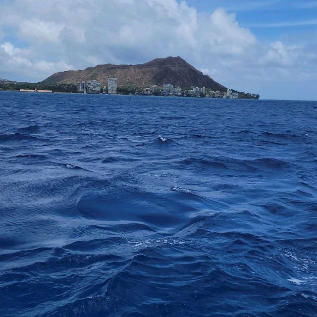 Stunning Diamond head😍