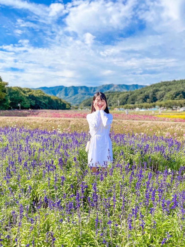꽃잔치가 열린 상림공원💜