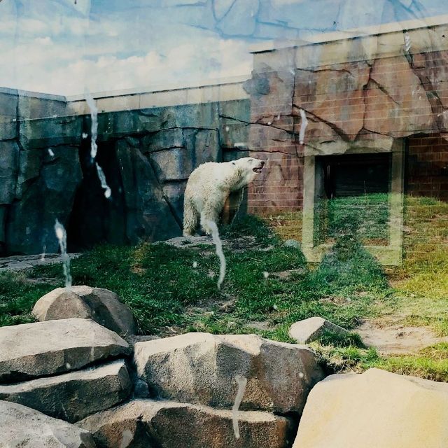 Lincoln Park Zoo, Chicago 