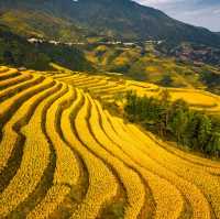 Longji Rice Terraces 
