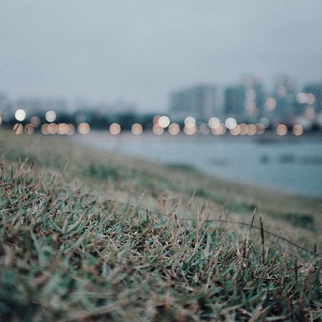 Wheat island park in Qingdao