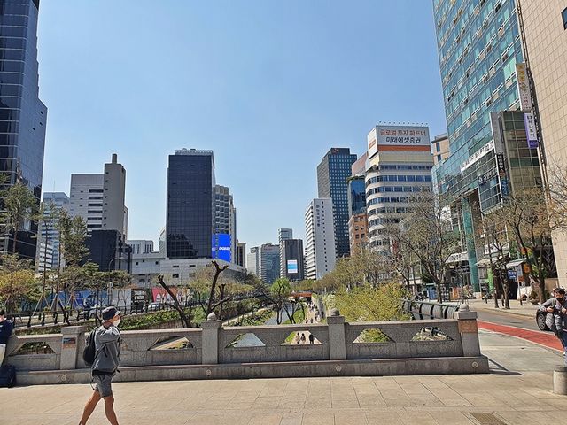 봄날 청계천 나들이
