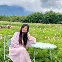 Tinghua Valley💐