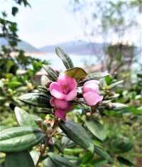 Sai Kung East Country Park