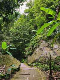 Qixian Ridge 🌳, 45 minutes north of Sanya, chill in the mountains like immortals for a day 🏵️.