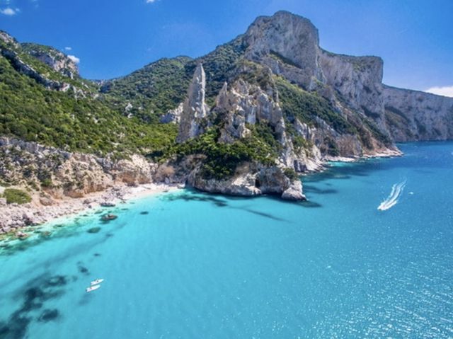 Sardinia, Italy, the must-visit transparent jellyfish sea in life.