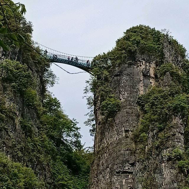 Hubei Yichang Wufeng Tujia Autonomous County Chaibuxi | Chabuxi, a picturesque canyon with three thousand peculiar peaks