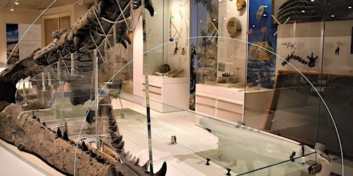 Arts Council National Lottery Project Grants Museums Roadshow: North West | Manchester Central Library