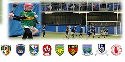 Regional Hurling Indoor Blitz for u8, u10, u12 | DKIT Sport