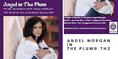 The Plum @ TH2 Presents Medium ANGEL MORGAN | Boiceville