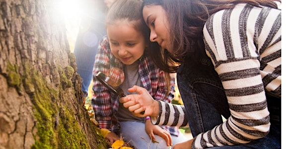 Minibeast Adventure | Castle Bromwich Hall Gardens Trust