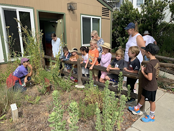2025 Buena Vista Audubon Summer Camp | Buena Vista Audubon Society, South Coast Highway, Oceanside, CA, USA
