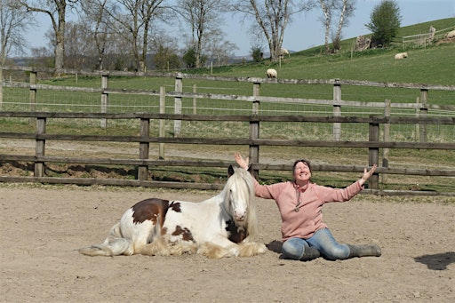 HORSE HARMONY 1 (July) | SY21 0QH