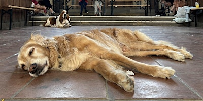 Dog Life Drawing - Left Bank Leeds | Left Bank Leeds