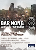 Bar None:Cannabis Redemption | 378 Throop Ave