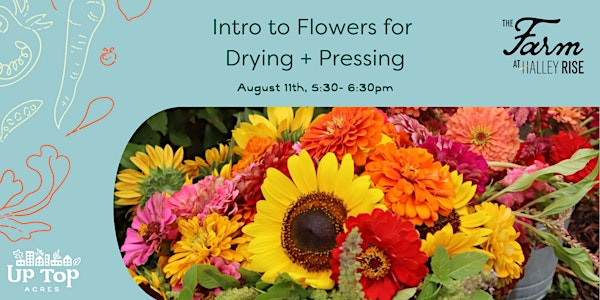 Intro to Flowers for Drying and Pressing | The Farm at Halley Rise