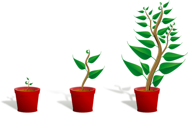 Teaching Evolution in Primary Science | Histon & Impington Brook Primary School