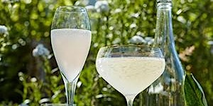 Making Elderflower Cordial and Champagne Forage Workshop Brighton | Urban Forage