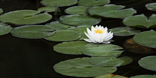 2026 South Carolina Aquatic Plant Management Society Conference | Ocean Drive Beach and Golf Resort