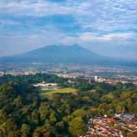 Bogor Botanical Garden