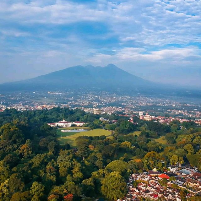 Bogor Botanical Garden