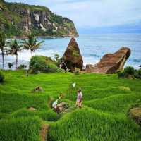 PANGASAN BEACH - PACITAN