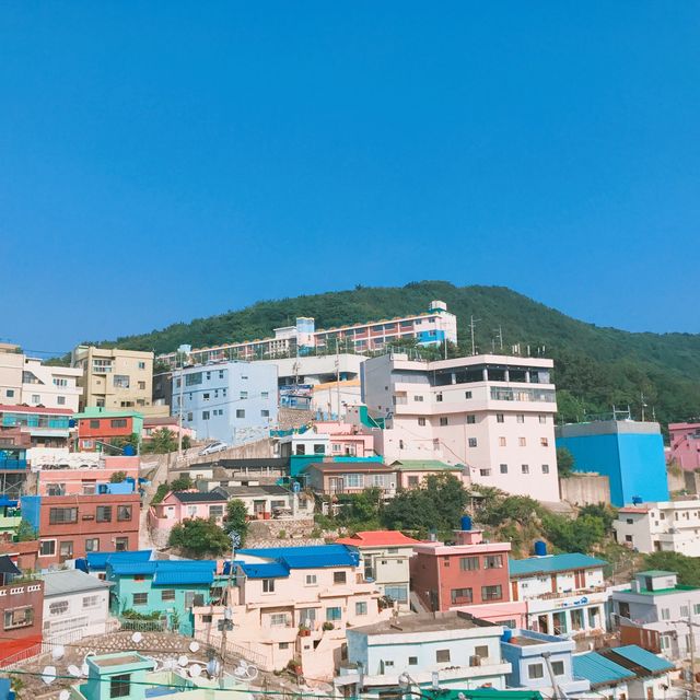 알록달록 벽화들이 곳곳에, 부산 감천문화마을  
