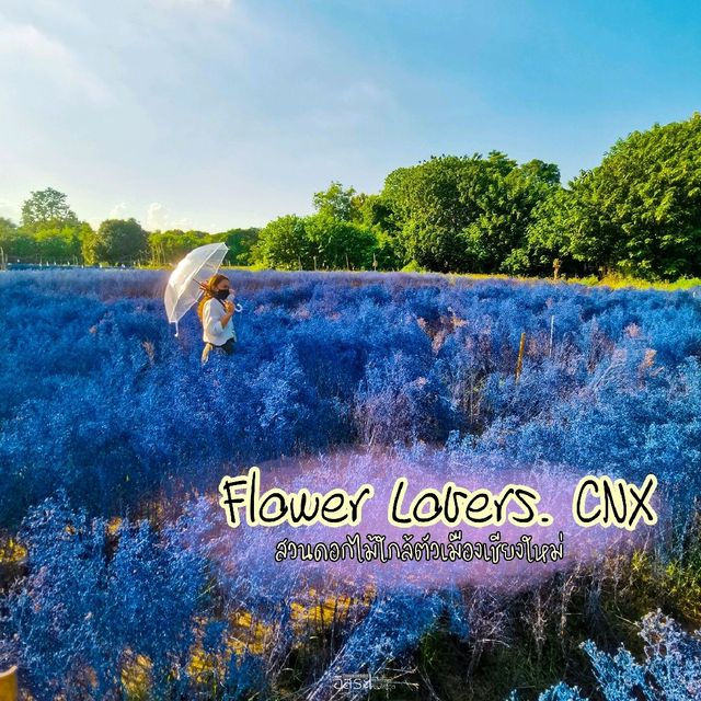 Flower Lovers. CNX | สวนดอกไม้เชียงใหม่​