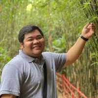 Baguio Bamboo Sanctuary