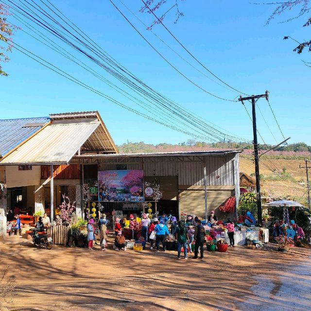 บ้านร่องกล้า