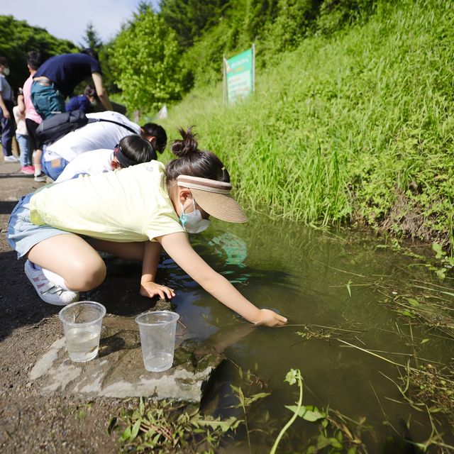 용인 한터목장 아이들 놀거리 많아