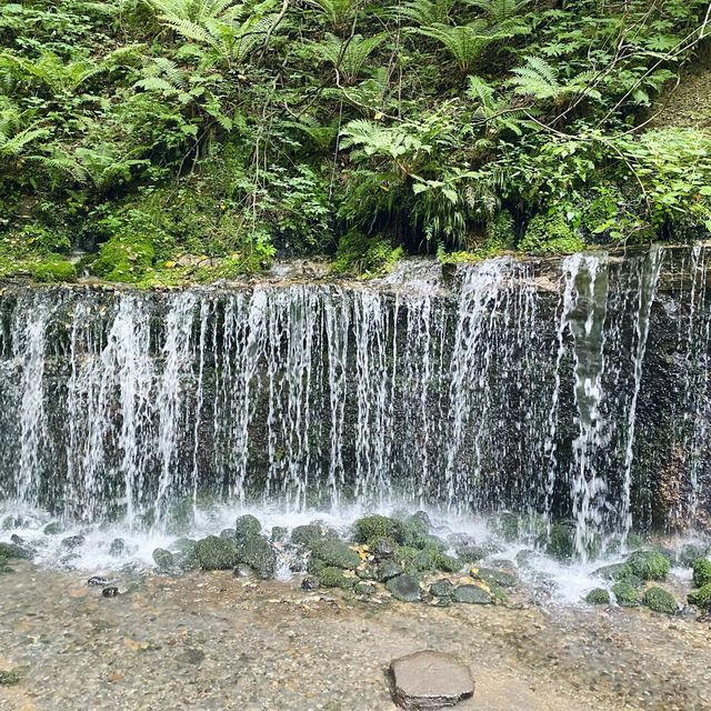 天下の名瀑にも登録されている！