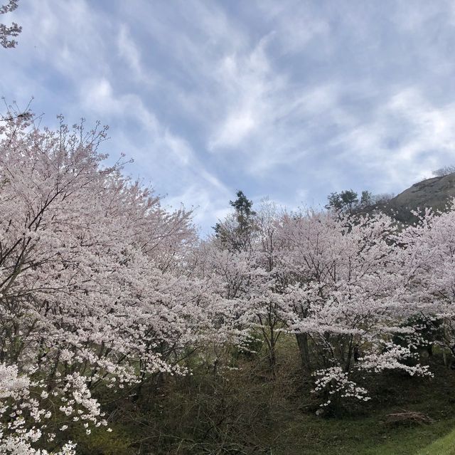 입암산