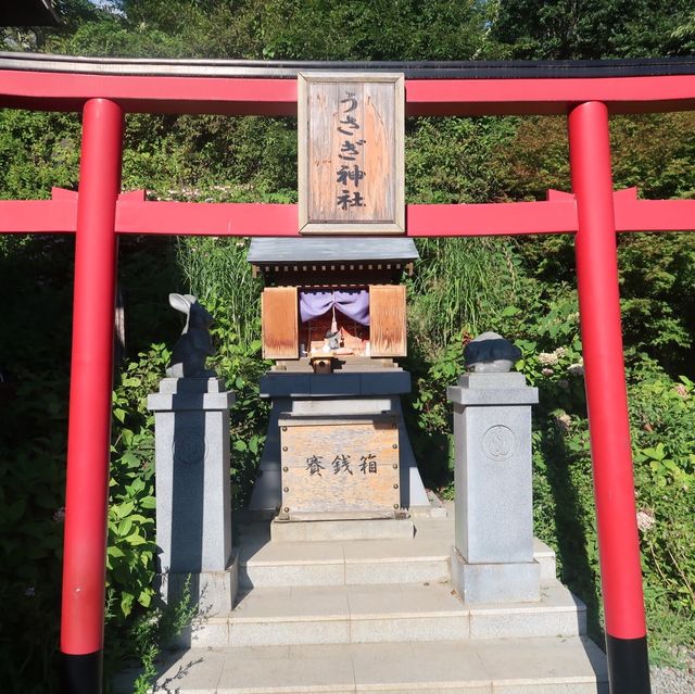 日本境內最高峰，富士山