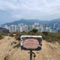 玉桂山