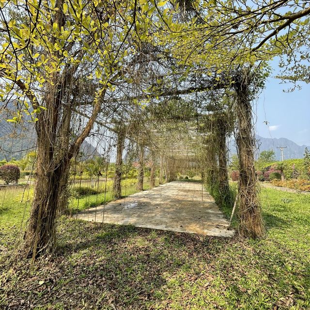 🪴สวนดอกไม้ Phou Pha Champa Lao ພູຜາຈຳປາລາວ