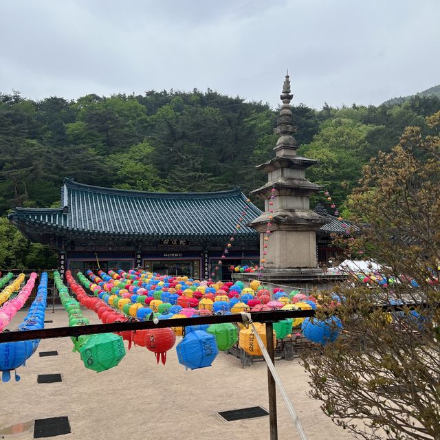 울산여행 공기좋은 산책길이 있는 ‘석남사’