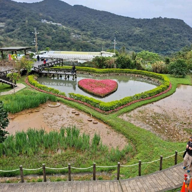 台北 | 內湖「碧山巖」讓你免跑日本就能輕鬆賞櫻，還有熱門的採草莓體驗等著各位