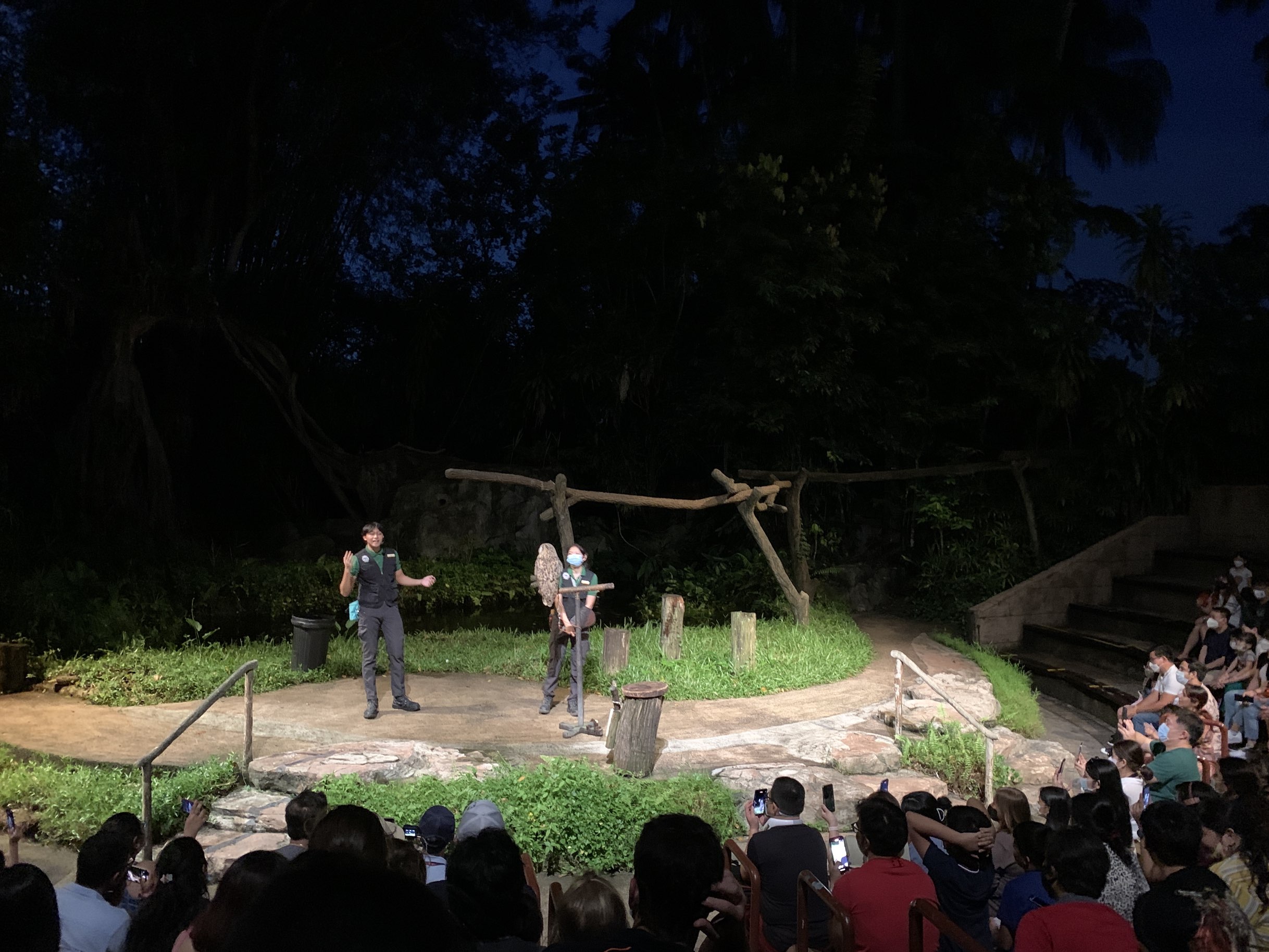 Creature of the night 🦉 Travelogue Singapore Creature of the night 🦉 Travelogue Singapore