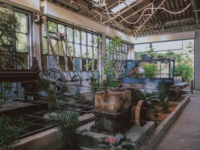 𝗗𝗔𝗠 𝗣𝗮𝘁𝘁𝗮𝘆𝗮 คาเฟ่เปิดใหม่พัทยา