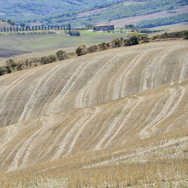 意大利Toscana🇮🇹 徒步旅行San Quirico d'Orcia-Pienza