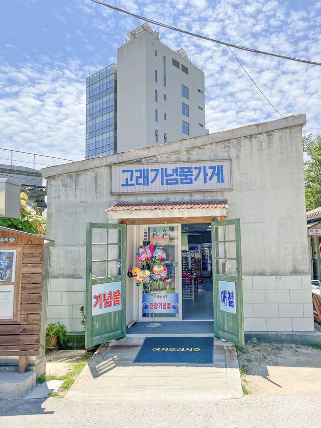 인생사진 수십장 건진 울산 여행지