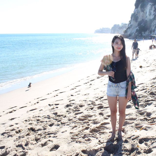아직 많이 알려지지 않은 인생 비치 "paradise cove"