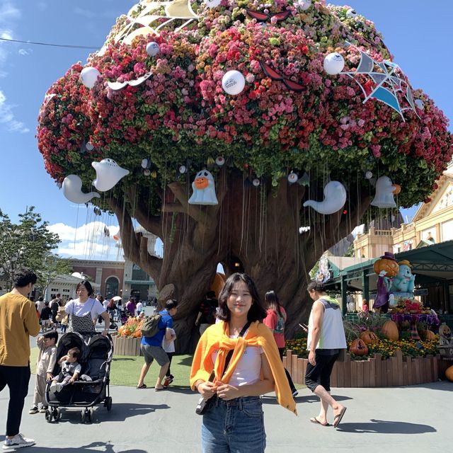 [용인] 에버랜드 놀이기구도 타고 꽃구경 하기에 너무 좋은 곳