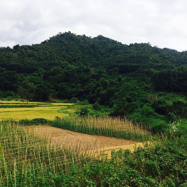Nam Dee Watwrfall 