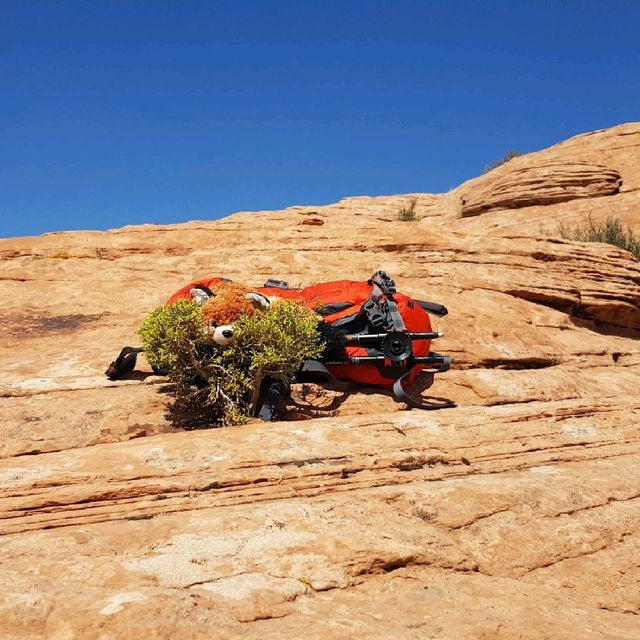 Stunning Red Rocks of Arches National Park