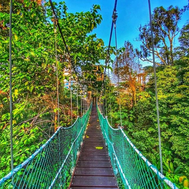 Be tarzan to enjoy the vibes
